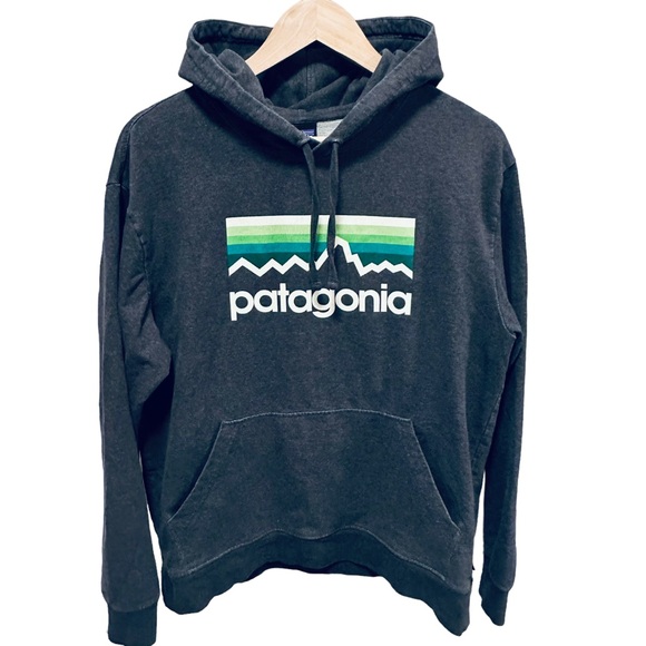 Patagonia Line Logo Midweight Organic Cotton Pullover Hoodie Men medium mountain - Picture 2 of 6